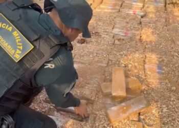 PMR recebe congratulação pela apreensão de 2 toneladas de maconha na fronteira