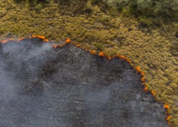 Queimadas e estiagem podem gerar uma crise energética?