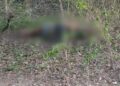 Corpo de homem com marcas de tiros é encontrado em área rural de Corumbá