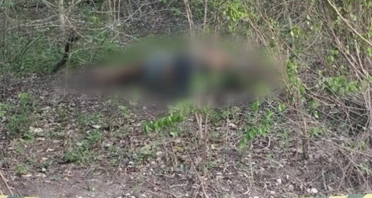Corpo de homem com marcas de tiros é encontrado em área rural de Corumbá