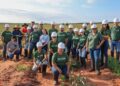 Primeira Jornada Técnica Florestal do Senar/MS aproxima alunos de empresas do setor