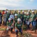 Primeira Jornada Técnica Florestal do Senar/MS aproxima alunos de empresas do setor