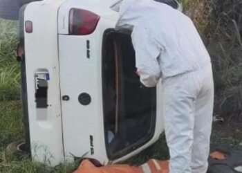 Capotamento seguido de ataque de abelhas mata uma pessoa na BR-163, em MS