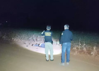 Corpo de indígena é encontrado a golpes de pedras e no meio de plantação de milho