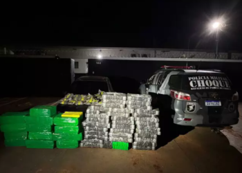 Batalhão de Choque da PM apreende mais de meia tonelada de maconha em casa no Lageado