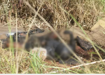 Após 2 anos, polícia consegue identificar homem encontrado morto queimado, na Capital