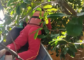 Corpo de trabalhador que sumiu, após churrasco no domingo, é encontrado no Rio Correntes