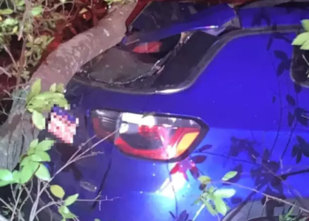 Ventania provoca queda de árvore em cima de Jeep Compass na UFMS, na Capital