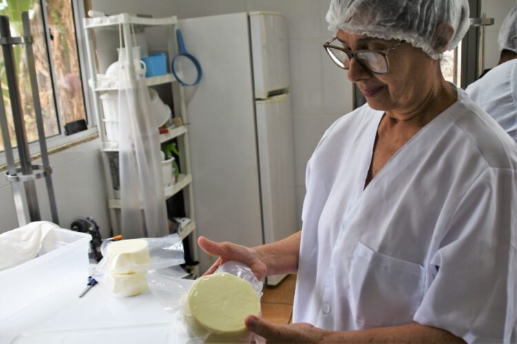 Prefeitura é parceira em oficina que vai preparar empresas para selo de inspeção nacional