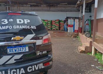 Polícia deflagra ação contra organização criminosa de estelionatos contra empresas da Capital