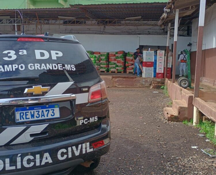 Polícia deflagra ação contra organização criminosa de estelionatos contra empresas da Capital