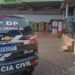 Polícia deflagra ação contra organização criminosa de estelionatos contra empresas da Capital