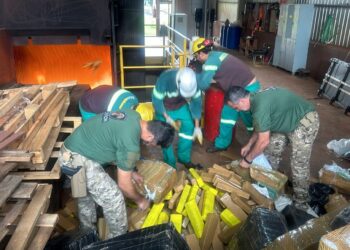 Polícia Civil incinera mais de 12 toneladas de drogas em Ponta Porã