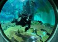 Opção de lazer: Bioparque Pantanal abrirá as portas no feriado com horário especial