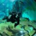 Opção de lazer: Bioparque Pantanal abrirá as portas no feriado com horário especial