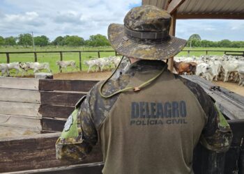Polícia recupera 126 cabeças de gado furtadas avaliadas em R$ 400 mil em MS