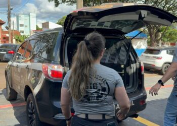 Polícia desarticula quadrilha especializada em furtos de veículos e golpes, em Dourados
