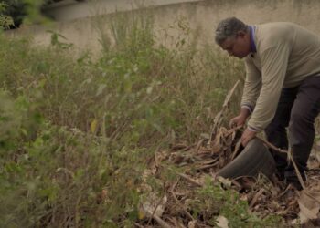 Governo do Estado lança Semana de Combate às Arboviroses com força-tarefa no Parque dos Poderes