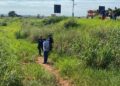 Idoso desaparecido desde segunda-feira é encontrado morto em vegetação, em MS