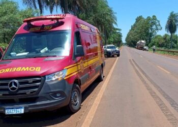Pedestre é atropelado por caminhão carregado com ração e morre na BR-376