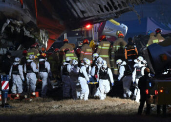 Mau tempo e colisão com pássaro causou explosão de avião na Coreia, afirmam autoridades