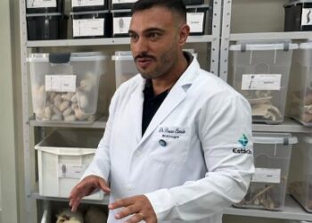 Incidência de escorpiões aumenta em áreas urbanas: como prevenir e agir em caso de acidentes