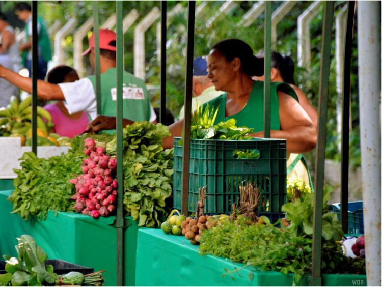 Feira Agroecológica destaca diversidade, sustentabilidade e protagonismo local