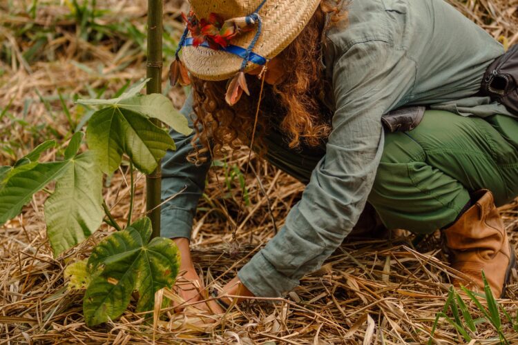 Grupo patrocina projeto de reflorestamento “Mil Pelo Planeta” no Pantanal