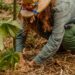 Grupo patrocina projeto de reflorestamento “Mil Pelo Planeta” no Pantanal