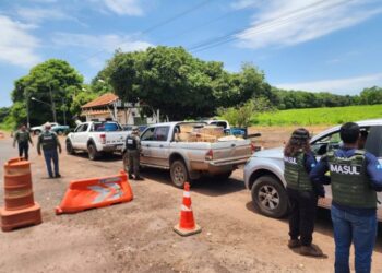 Operação Piracema já apreendeu mais de 400 quilos de pescado em MS