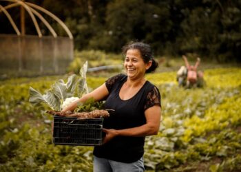 Campo Grande Sedia o Agroecol 2024: Maior Evento de Agroecologia de MS