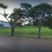 Guardas flagram dois rapazes fazendo sexo em praça e os prendem, em Dourados