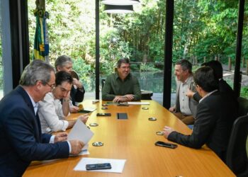 Com setor da citricultura em expansão, mais uma empresa vai investir em MS