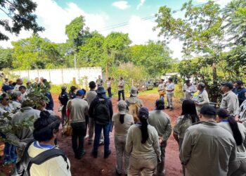 Com a chegada do verão, Prefeitura intensifica ações contra a dengue e convoca população para participar do combate
