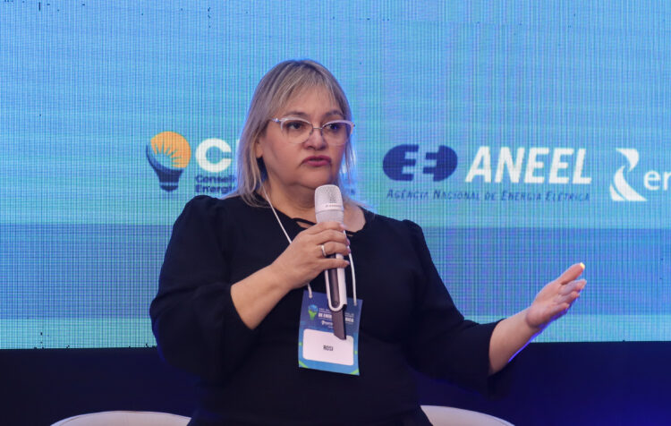Concen-MS pede apoio de senadores contra o PL das Offshore, que pode elevar tarifas de energia elétrica em R$ 1 trilhão