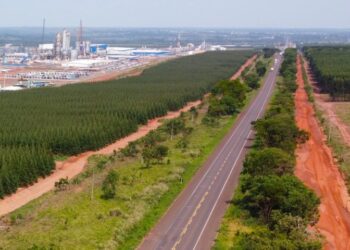 Com projeto robusto, Rota da Celulose tem expectativa de voltar ao mercado no primeiro trimestre de 2025