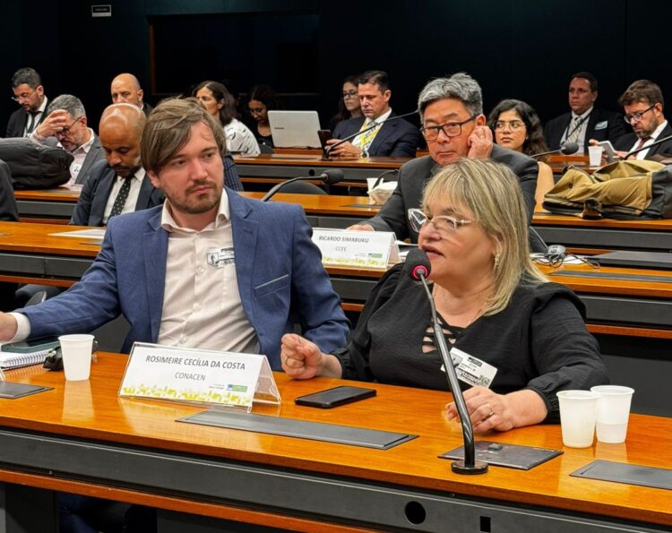 Audiência Pública discute custo da energia elétrica na Câmara dos Deputados