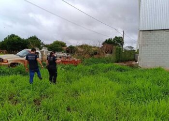 Corpo em decomposição é encontrado por trabalhadores que desatolavam caminhonete