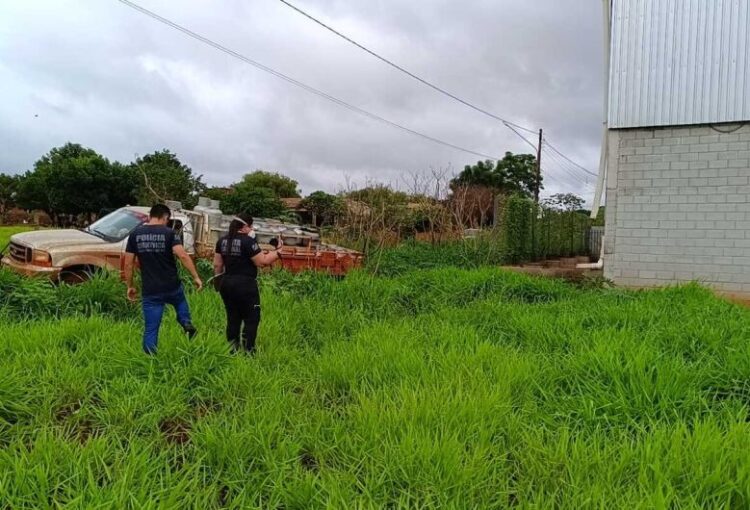 Corpo em decomposição é encontrado por trabalhadores que desatolavam caminhonete