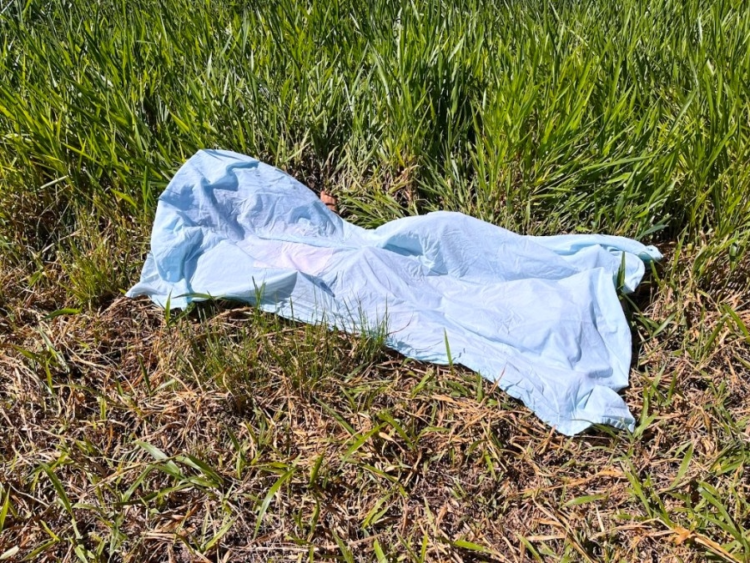 Homem é morto a golpes de machado e corpo encontrado em zona rural de Amambai