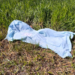 Homem é morto a golpes de machado e corpo encontrado em zona rural de Amambai