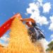 Mato Grosso do Sul fecha 2024 com superávit de US$ 7,1 bilhões na balança comercial