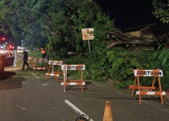 Prefeitura atua para atender população e mitigar danos causados pelas chuvas em Campo Grande