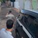 No Nhanhá, suspeitos de tráfico saem em disparada ao ver viatura, 1 é preso e boca de fumo fechada