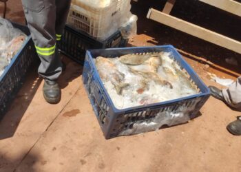 Dono de mercado no Itamaracá é preso por vender carnes impróprias pra consumo