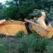 Avião agrícola cai em fazenda de Iguatemi durante aplicação de veneno e piloto morre