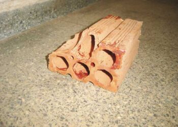 Mulher mata marido com tijolada na cabeça, após agressão, no Jardim Pênfigo