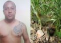 Corpo em decomposição de homem é encontrado em terreno, em Bela Vista