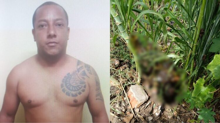 Corpo em decomposição de homem é encontrado em terreno, em Bela Vista