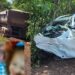 Mulher morre, homem e 2 crianças ficam em estado grave em colisão entre carro e carreta na BR-262